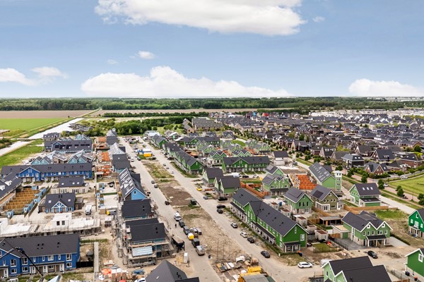02_Moerasorchidee 31 - Lelystad.jpg